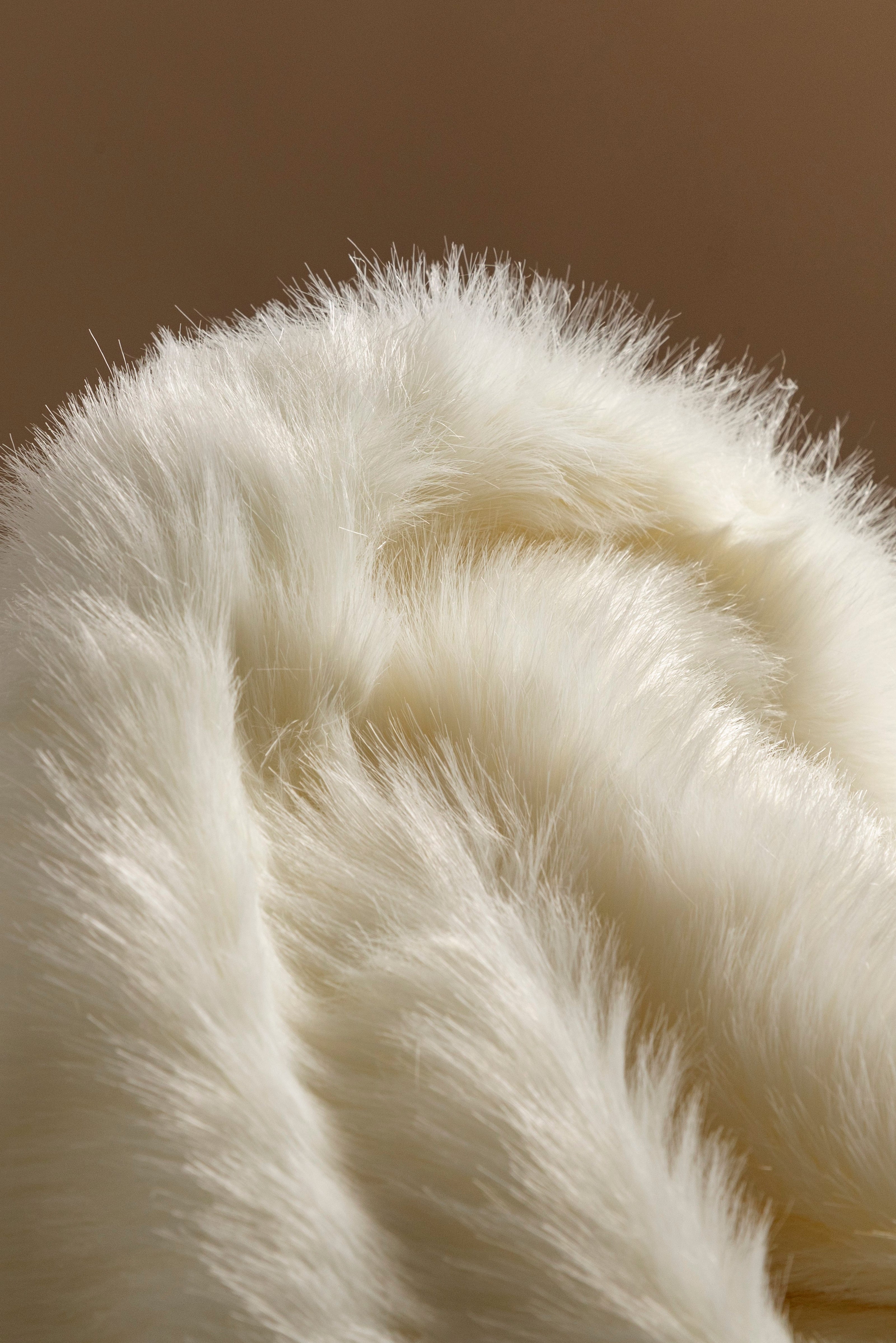 Close-up of white fur texture on a brown background